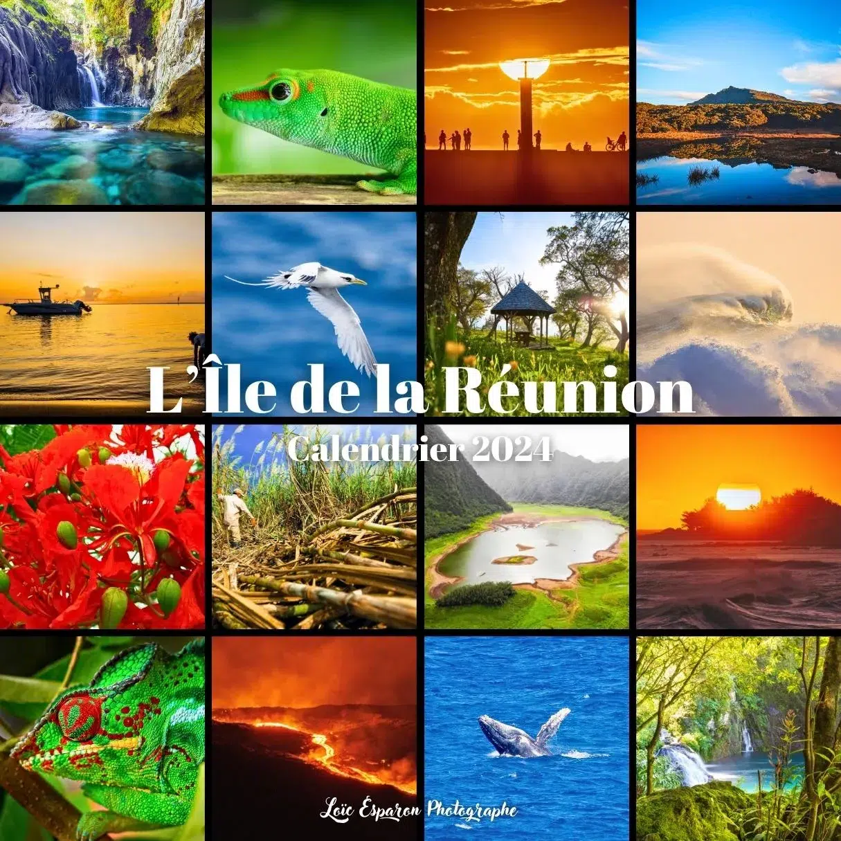 Calendrier 2024 ile de la réunion