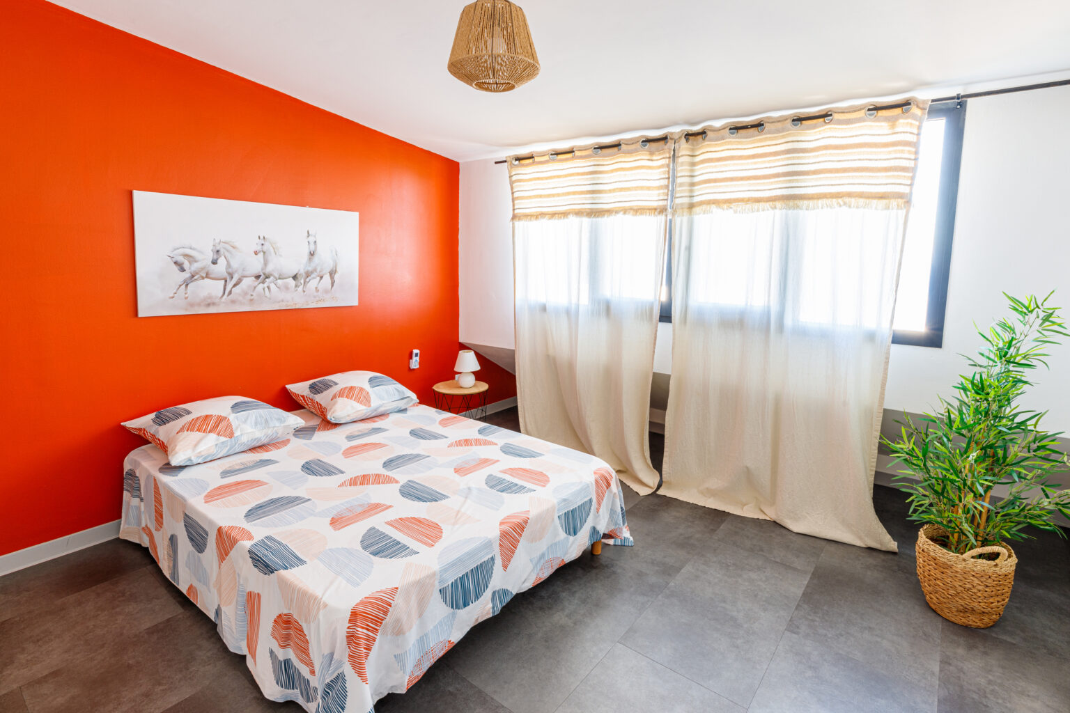 photo immobilier 974