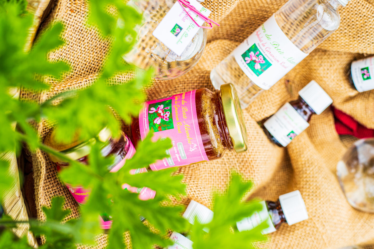 photo pro la reunion